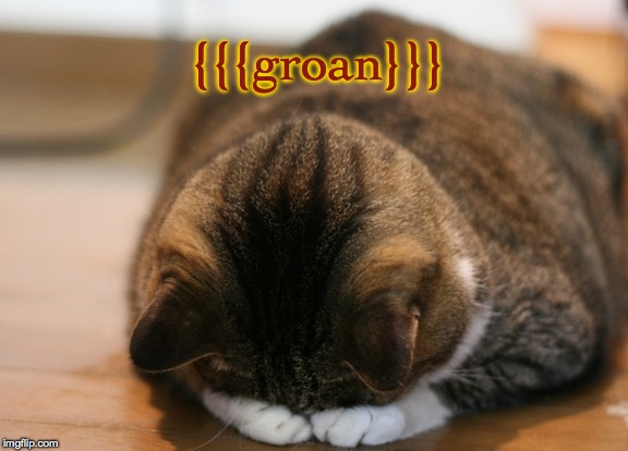 kittycat facepalm | {{{groan}}} | image tagged in kittycat facepalm | made w/ Imgflip meme maker