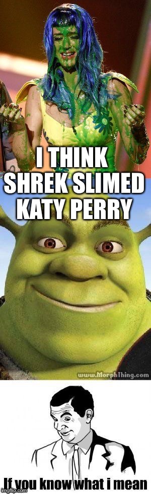 Katy Perry slimed Shrek If you know what I mean meme  | I THINK SHREK SLIMED KATY PERRY | image tagged in katy perry slimed shrek if you know what i mean meme | made w/ Imgflip meme maker