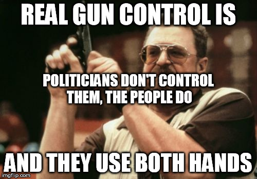 Am I The Only One Around Here Meme | REAL GUN CONTROL IS AND THEY USE BOTH HANDS POLITICIANS DON'T CONTROL THEM, THE PEOPLE DO | image tagged in memes,am i the only one around here | made w/ Imgflip meme maker