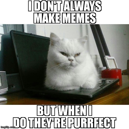 The Most Interesting Cat In The World | image tagged in the most interesting cat in the world,the most interesting man in the world,cat,cats,cute cat,cute cats | made w/ Imgflip meme maker