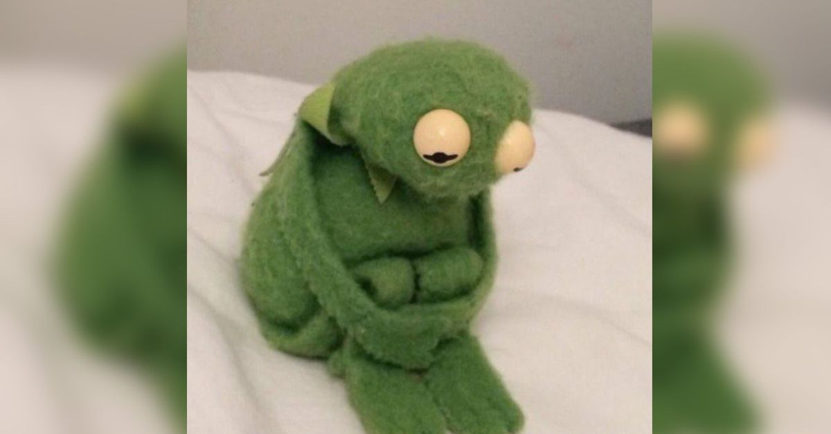 Depressed Kermit Blank Meme Template