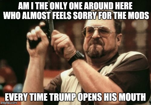 Am I The Only One Around Here Meme | AM I THE ONLY ONE AROUND HERE WHO ALMOST FEELS SORRY FOR THE MODS; EVERY TIME TRUMP OPENS HIS MOUTH | image tagged in memes,am i the only one around here | made w/ Imgflip meme maker