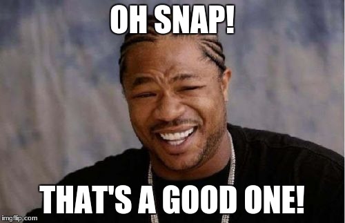 OH SNAP! THAT'S A GOOD ONE! | image tagged in memes,yo dawg heard you | made w/ Imgflip meme maker
