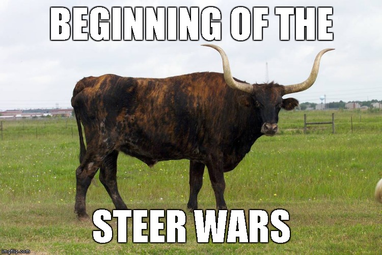 BEGINNING OF THE STEER WARS | made w/ Imgflip meme maker