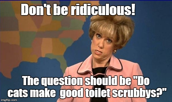 Don't be ridiculous! The question should be "Do cats make  good toilet scrubbys?" | made w/ Imgflip meme maker