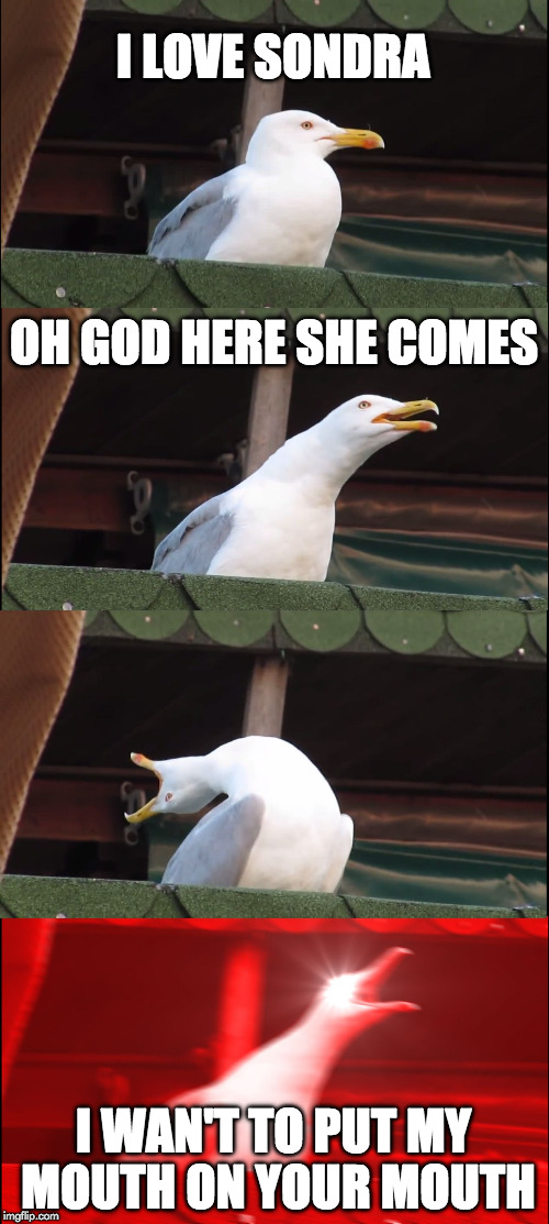 Inhaling Seagull Meme | I LOVE SONDRA; OH GOD HERE SHE COMES; I WAN'T TO PUT MY MOUTH ON YOUR MOUTH | image tagged in memes,inhaling seagull | made w/ Imgflip meme maker