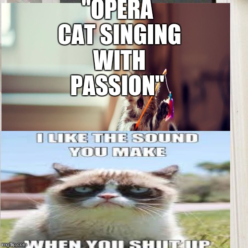 cat opera  | "OPERA CAT SINGING WITH PASSION" | image tagged in grumpy cat | made w/ Imgflip meme maker