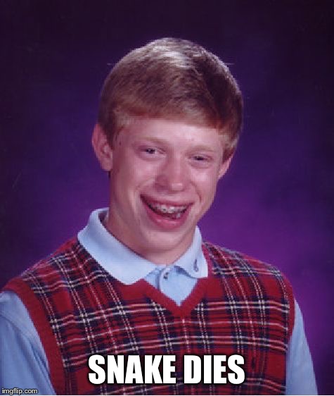 Bad Luck Brian Meme | SNAKE DIES | image tagged in memes,bad luck brian | made w/ Imgflip meme maker