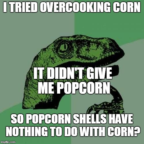 Philosoraptor Meme | I TRIED OVERCOOKING CORN; IT DIDN'T GIVE ME POPCORN; SO POPCORN SHELLS HAVE NOTHING TO DO WITH CORN? | image tagged in memes,philosoraptor | made w/ Imgflip meme maker
