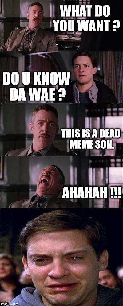 Peter Parker Cry | WHAT DO YOU WANT ? DO U KNOW DA WAE ? THIS IS A DEAD MEME SON. AHAHAH !!! | image tagged in memes,peter parker cry | made w/ Imgflip meme maker