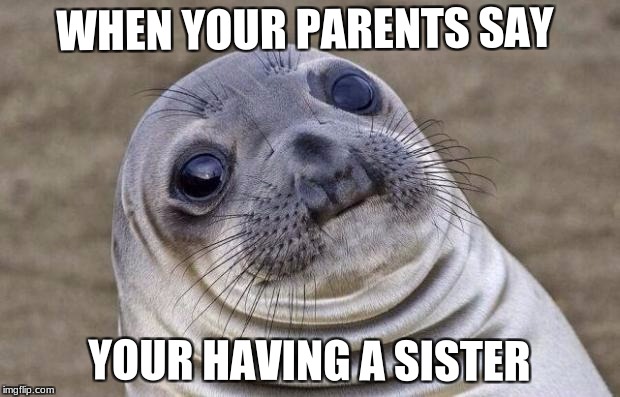 Awkward Moment Sealion Meme | WHEN YOUR PARENTS SAY; YOUR HAVING A SISTER | image tagged in memes,awkward moment sealion | made w/ Imgflip meme maker