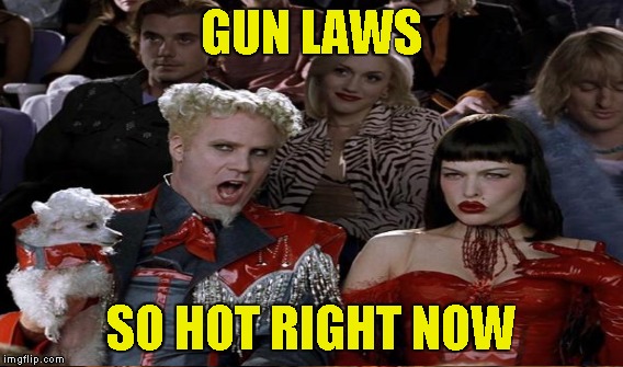 GUN LAWS SO HOT RIGHT NOW | made w/ Imgflip meme maker