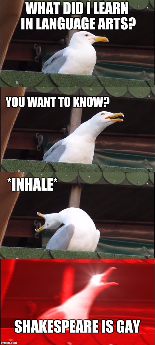 Inhaling Seagull Meme | WHAT DID I LEARN IN LANGUAGE ARTS? YOU WANT TO KNOW? *INHALE*; SHAKESPEARE IS GAY | image tagged in memes,inhaling seagull | made w/ Imgflip meme maker