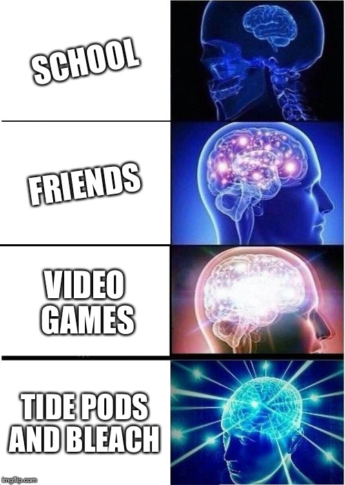 Expanding Brain Meme | SCHOOL; FRIENDS; VIDEO GAMES; TIDE PODS AND BLEACH | image tagged in memes,expanding brain | made w/ Imgflip meme maker