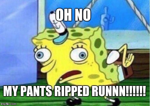 Mocking Spongebob Meme | OH NO; MY PANTS RIPPED RUNNN!!!!!! | image tagged in memes,mocking spongebob | made w/ Imgflip meme maker