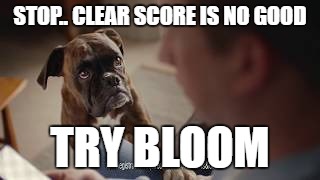 Clear Score | STOP.. CLEAR SCORE IS NO GOOD; TRY BLOOM | image tagged in clear score | made w/ Imgflip meme maker