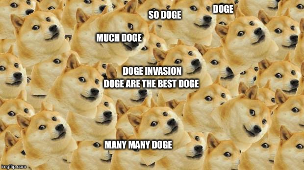 Multi Doge | DOGE; SO DOGE; MUCH DOGE; MANY DOGE; DOGE INVASION; DOGE ARE THE BEST DOGE; MANY MANY DOGE; SUCH DOGE | image tagged in memes,multi doge | made w/ Imgflip meme maker