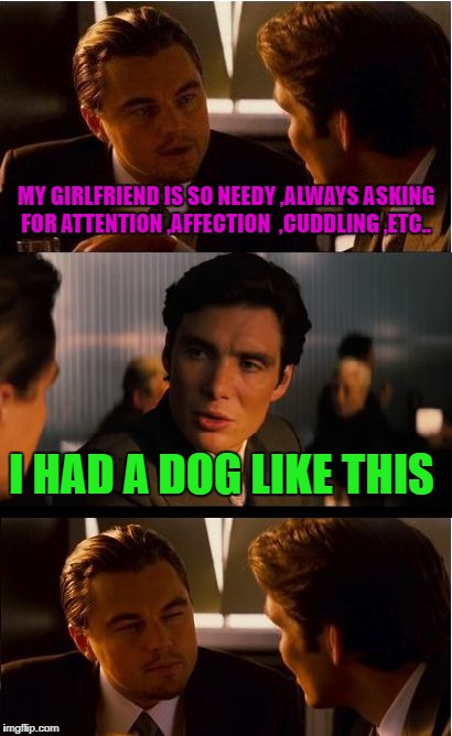 girlfriend needs | MY GIRLFRIEND IS SO NEEDY ,ALWAYS ASKING FOR ATTENTION ,AFFECTION  ,CUDDLING ,ETC.. I HAD A DOG LIKE THIS | image tagged in memes,inception,girlfriend | made w/ Imgflip meme maker