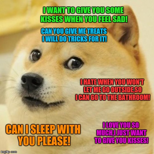 Doge | I WANT TO GIVE YOU SOME KISSES WHEN YOU FEEL SAD! CAN YOU GIVE ME TREATS I WILL DO TRICKS FOR IT! I HATE WHEN YOU WON'T LET ME GO OUTSIDE,SO I CAN GO TO THE BATHROOM! I LOVE YOU SO MUCH,I JUST WANT TO GIVE YOU KISSES! CAN I SLEEP WITH YOU PLEASE! | image tagged in memes,doge | made w/ Imgflip meme maker