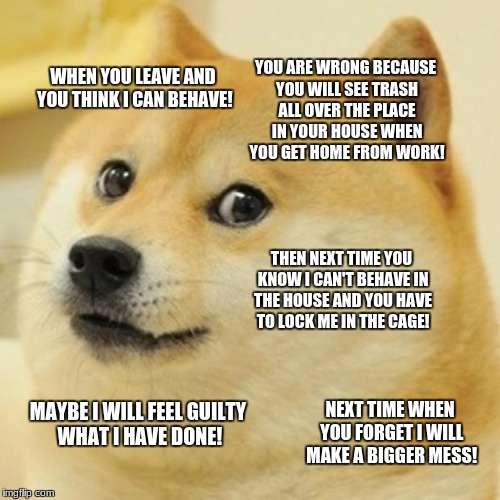 Doge Meme | YOU ARE WRONG BECAUSE YOU WILL SEE TRASH ALL OVER THE PLACE IN YOUR HOUSE WHEN YOU GET HOME FROM WORK! WHEN YOU LEAVE AND YOU THINK I CAN BEHAVE! THEN NEXT TIME YOU KNOW I CAN'T BEHAVE IN THE HOUSE AND YOU HAVE TO LOCK ME IN THE CAGE! MAYBE I WILL FEEL GUILTY WHAT I HAVE DONE! NEXT TIME WHEN YOU FORGET I WILL MAKE A BIGGER MESS! | image tagged in memes,doge | made w/ Imgflip meme maker