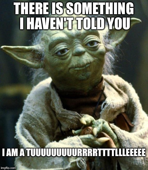 Star Wars Yoda | THERE IS SOMETHING I HAVEN'T TOLD YOU; I AM A TUUUUUUUUURRRRTTTTLLLEEEEE | image tagged in memes,star wars yoda | made w/ Imgflip meme maker