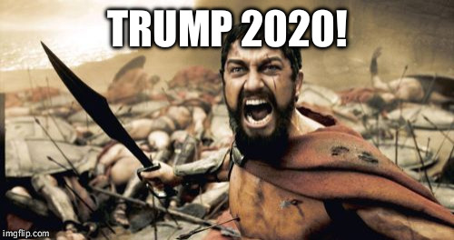 Sparta Leonidas Meme | TRUMP 2020! | image tagged in memes,sparta leonidas | made w/ Imgflip meme maker