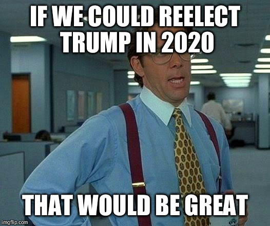 That Would Be Great Meme | IF WE COULD REELECT TRUMP IN 2020 THAT WOULD BE GREAT | image tagged in memes,that would be great | made w/ Imgflip meme maker