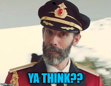 Captain Obvious | YA THINK?? | image tagged in captain obvious | made w/ Imgflip meme maker