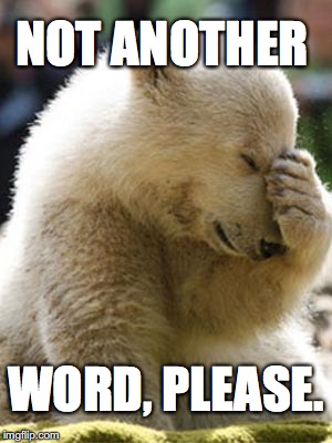 Facepalm Bear |  NOT ANOTHER; WORD, PLEASE. | image tagged in memes,facepalm bear | made w/ Imgflip meme maker