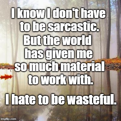 Sarcasm | I know I don't have to be sarcastic. But the world has given me; so much material to work with. I hate to be wasteful. | image tagged in humor | made w/ Imgflip meme maker
