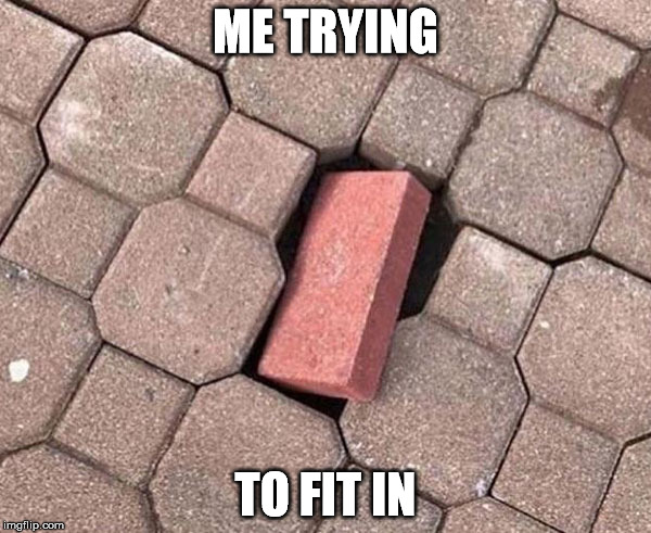 Fitting in | ME TRYING; TO FIT IN | image tagged in meme,fit,trying | made w/ Imgflip meme maker