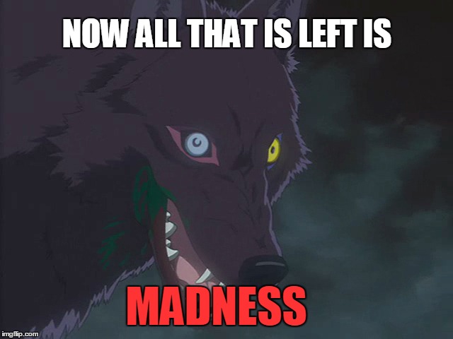 MADNESS | NOW ALL THAT IS LEFT IS; MADNESS | image tagged in memes,madness,wolf,wolf's rain,darcia | made w/ Imgflip meme maker