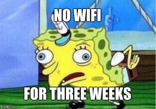 Mocking Spongebob Meme | NO WIFI; FOR THREE WEEKS | image tagged in memes,mocking spongebob | made w/ Imgflip meme maker