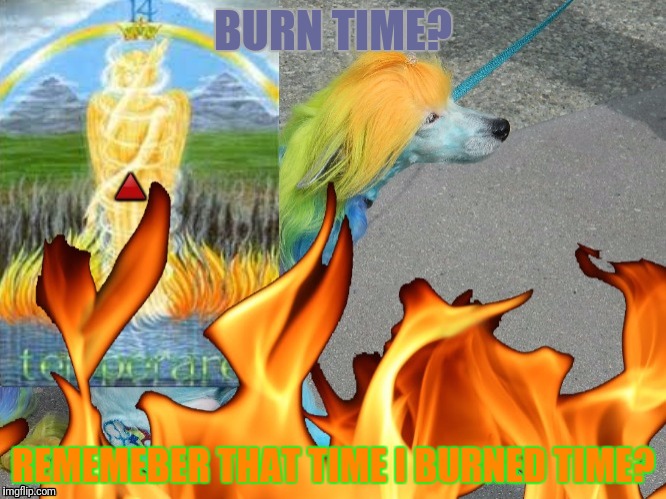 BURN TIME? REMEMEBER THAT TIME I BURNED TIME? | made w/ Imgflip meme maker