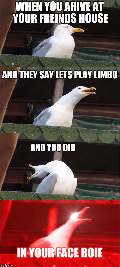 Inhaling Seagull Meme | WHEN YOU ARIVE AT YOUR FREINDS HOUSE; AND THEY SAY LETS PLAY LIMBO; AND YOU DID; IN YOUR FACE BOIE | image tagged in memes,inhaling seagull | made w/ Imgflip meme maker