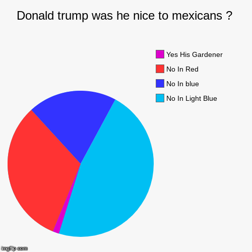 Donald trump was he nice to mexicans ? | No In Light Blue, No In blue, No In Red, Yes His Gardener | image tagged in funny,pie charts | made w/ Imgflip chart maker