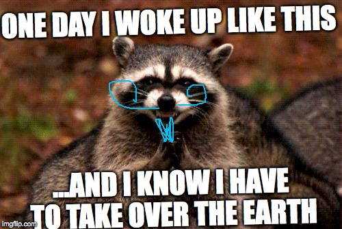 Evil Plotting Raccoon Meme | ONE DAY I WOKE UP LIKE THIS; ...AND I KNOW I HAVE TO TAKE OVER THE EARTH | image tagged in memes,evil plotting raccoon | made w/ Imgflip meme maker