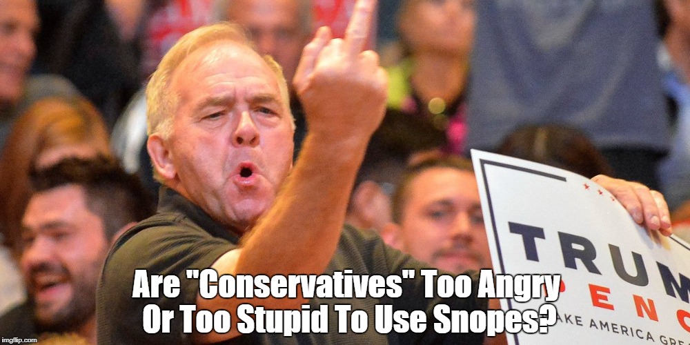 Are "Conservatives" Too Angry Or Too Stupid To Use Snopes? | Are "Conservatives" Too Angry Or Too Stupid To Use Snopes? | image tagged in not all conservatives are stupid people but most stupid people are conservatives,trump is the raised middle finger of the neo-co | made w/ Imgflip meme maker