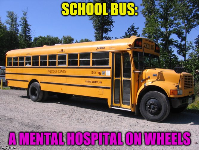 school bus | SCHOOL BUS:; A MENTAL HOSPITAL ON WHEELS | image tagged in school bus | made w/ Imgflip meme maker