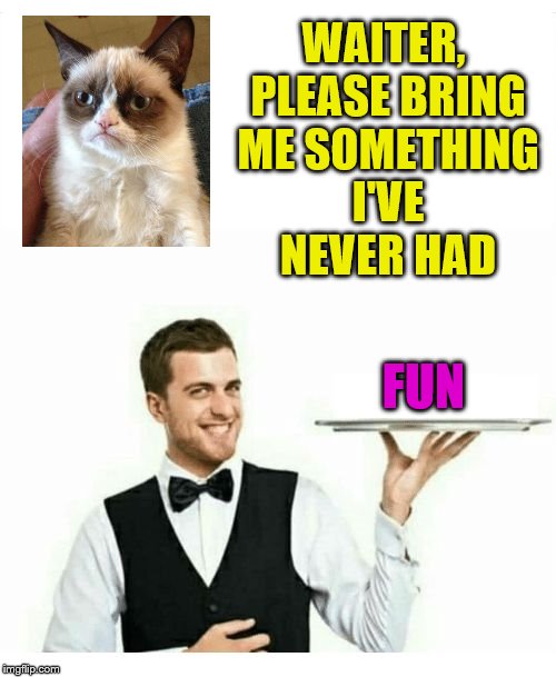 hybrid meme | WAITER, PLEASE BRING ME SOMETHING I'VE NEVER HAD; FUN | image tagged in waiter,grumpy cat | made w/ Imgflip meme maker