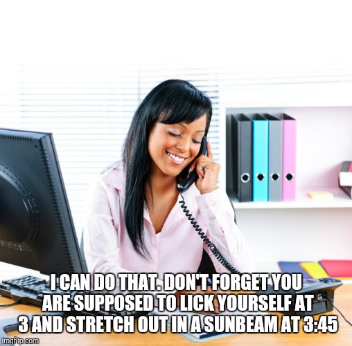 I CAN DO THAT. DON'T FORGET YOU ARE SUPPOSED TO LICK YOURSELF AT 3 AND STRETCH OUT IN A SUNBEAM AT 3:45 | made w/ Imgflip meme maker