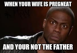 Kevin Hart | WHEN YOUR WIFE IS PREGNEAT; AND YOUR NOT THE FATHER | image tagged in memes,kevin hart the hell | made w/ Imgflip meme maker