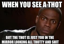 Kevin Hart Meme | WHEN YOU SEE A THOT; BUT THE THOT IS JUST YOU IN THE MIRROR LOOKING ALL THOTTY AND SHIT | image tagged in memes,kevin hart the hell | made w/ Imgflip meme maker
