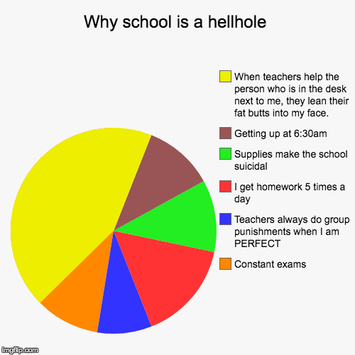 Why school is a hellhole | Constant exams, Teachers always do group punishments when I am PERFECT, I get homework 5 times a day, Supplies ma | image tagged in funny,pie charts | made w/ Imgflip chart maker