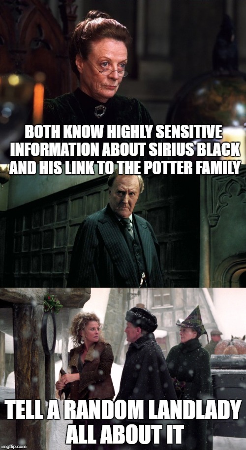 The Minister for Magic above all and Professor McGonagall should know better than to divulge confidential knowledge! | BOTH KNOW HIGHLY SENSITIVE INFORMATION ABOUT SIRIUS BLACK AND HIS LINK TO THE POTTER FAMILY; TELL A RANDOM LANDLADY ALL ABOUT IT | image tagged in harry potter,harry potter meme,harry potter crazy,information,classified | made w/ Imgflip meme maker