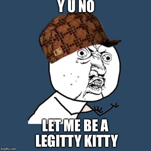 Y U No | Y U NO; LET ME BE A LEGITTY KITTY | image tagged in memes,y u no,scumbag | made w/ Imgflip meme maker