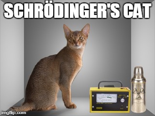 SCHRÖDINGER'S CAT | made w/ Imgflip meme maker