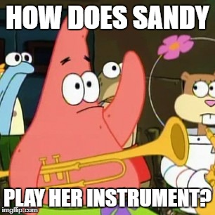 No Patrick | HOW DOES SANDY; PLAY HER INSTRUMENT? | image tagged in memes,no patrick | made w/ Imgflip meme maker