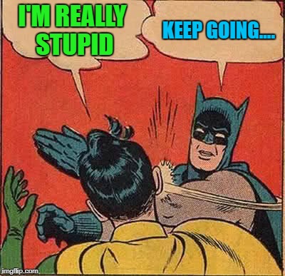 Batman Slapping Robin Meme | I'M REALLY STUPID KEEP GOING.... | image tagged in memes,batman slapping robin | made w/ Imgflip meme maker