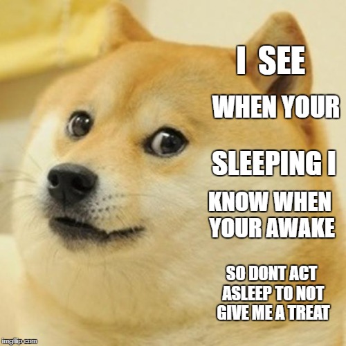 Doge Meme | I  SEE; WHEN YOUR; SLEEPING I; KNOW WHEN YOUR AWAKE; SO DONT ACT ASLEEP TO NOT GIVE ME A TREAT | image tagged in memes,doge | made w/ Imgflip meme maker